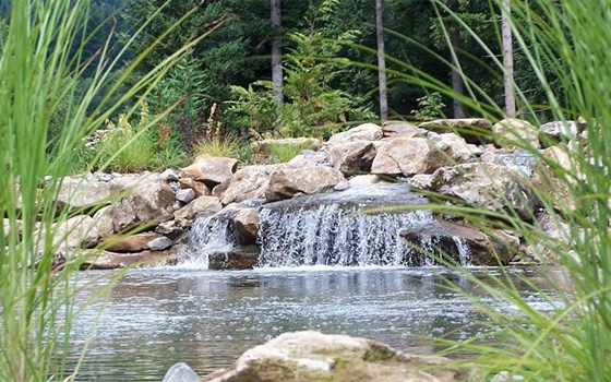 Grossiste revendeur matériel bassin d'agrement