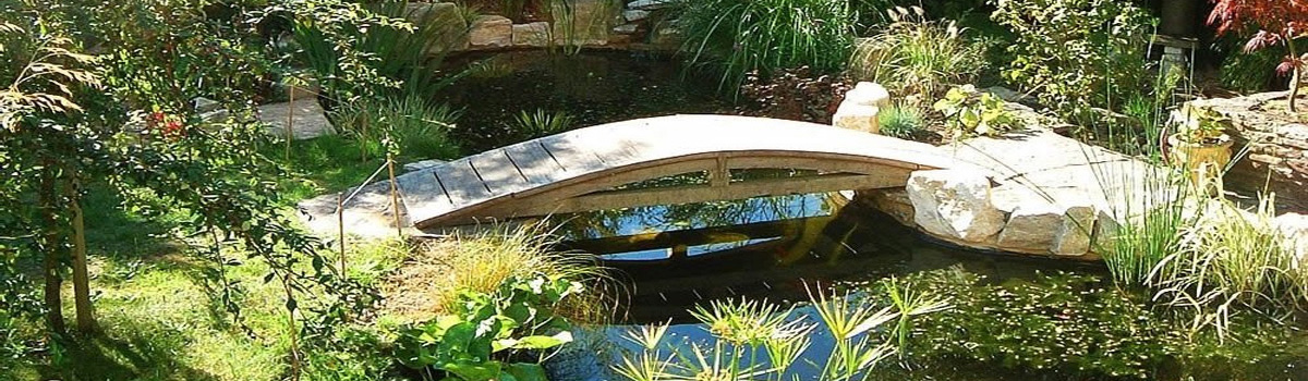 bassins agrement naturel alsace